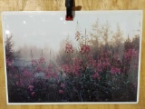 Print Midnight Fireweed by Tom Soucek