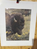 Print Witness os a Past-Bison by Carl Benders