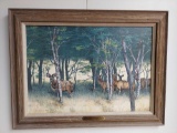 Framed Fringe of Cover-Greater Kudu