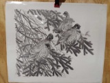 Print Spruce Roost