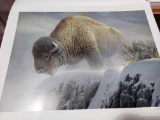 Print Winter Bison by Robert Bateman