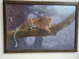 Framed Leopard Lying in Wait