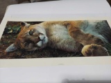Print The Good Life-Cougar by Carl Brenders