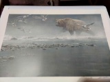 Print Above the Rapids-Gulls and Grizzly by Robert Bateman