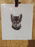 Print Wolf Scout #2 By Carl Brenders