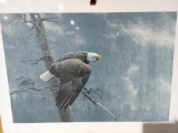 Print The Air The Forest and The Watch by Robert Bateman