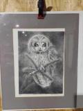 Print Short Eared Owl