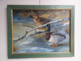 Framed Mallard Duck Art