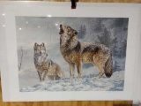 Print Solo Singer- Gray Wolves by Jorge Mayol