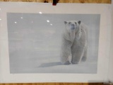 Print Face Off -Polar Bear by Terry Isaac