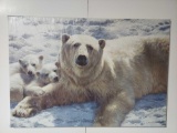 Canvas Polar Bear with Cubs