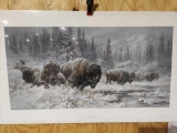 Print Front Range Storm- Colorado Buffalo by Larry Fanning