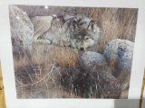 Print One to One- Gray Wolf by Carl Brenders