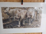 Print Esprit De Corps- Arctic Wolves by Carl Brenders