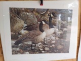 Print The Survivors -Canada Geese by Carl Brenders