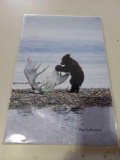 Print 3 Different Bear Pictures