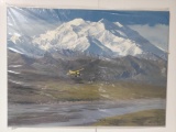 Canvas Denali Summer by William S. Phillips