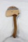 One wood handled hatchet with leather scabbard. Used in good condition.