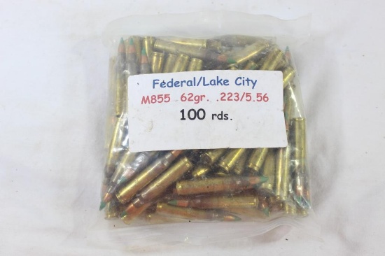 .223/5.56 ammo. Baggy with 100 rounds.