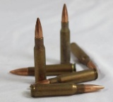 .308 ammo. Baggy with 60 rounds.