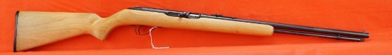 Savage/Springfield .22 auto