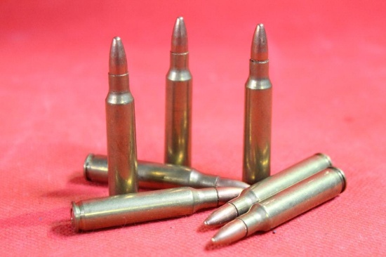 Bag of 223 ammo, 100 cnt