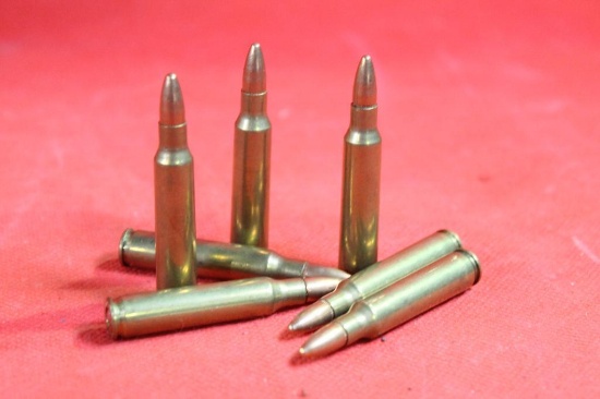 Bag of 223 ammo, 100 cnt