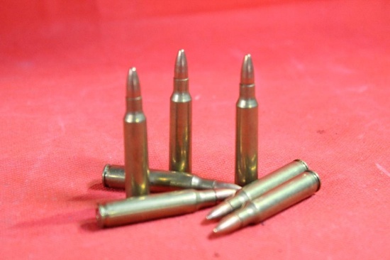 Bag of 223 ammo, 100 cnt