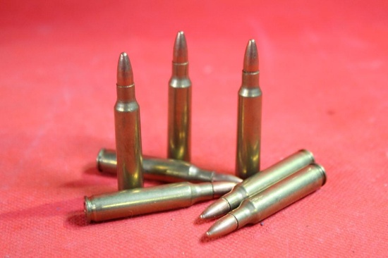 Bag of 223 ammo, 100 cnt