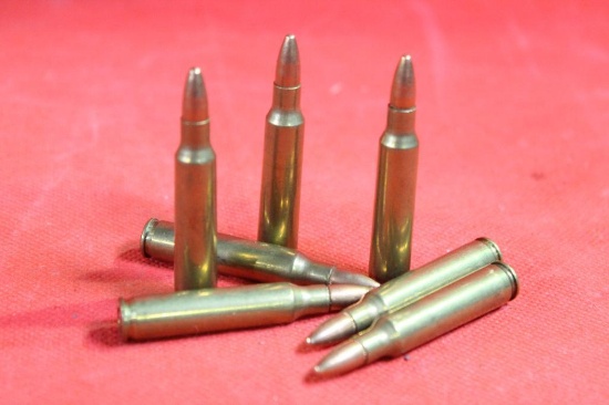 Bag of 223 ammo, 100 cnt