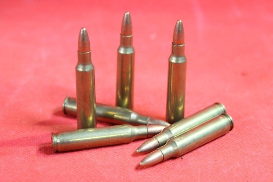 Bag of 223 ammo, 100 cnt
