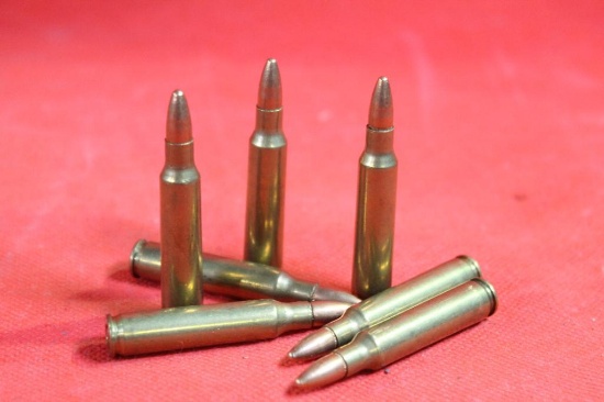 Bag of 223 ammo, 100 cnt