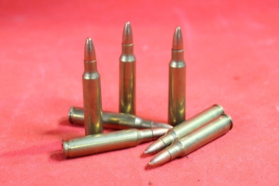 Bag of 223 ammo, 100 cnt