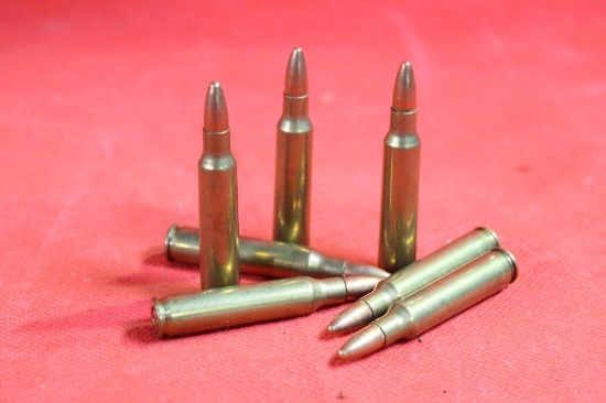 Bag of 223 ammo, 100 cnt