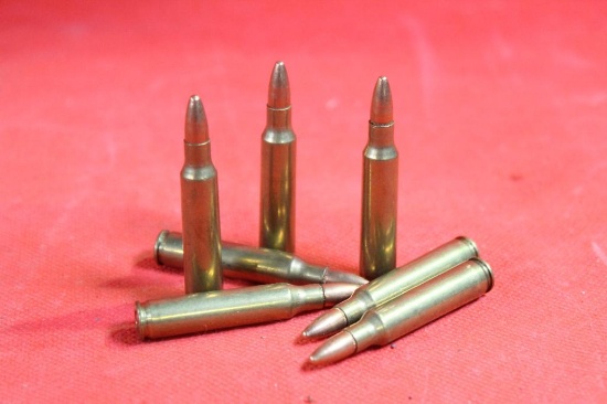 Bag of 223 ammo, 100 cnt