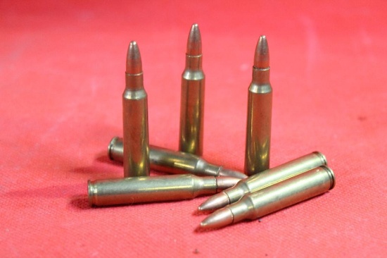 Bag of 223 ammo, 100 cnt