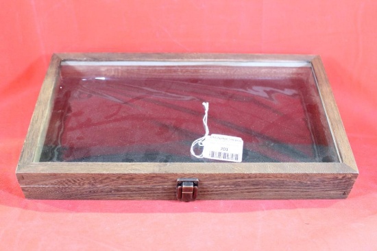 One glass front wood display case 15"X 8 1/2", felt lined