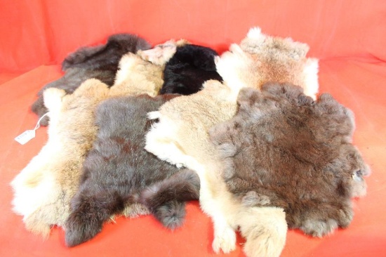 Eight tanned rabit furs