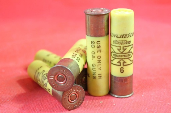4 boxes of Winchester 20 ga 3" #6 shot, 100 cnt