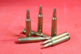 Bag of 223 ammo, 100 cnt