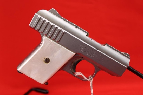 Raven .25 ACP