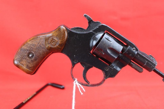 RG .22LR