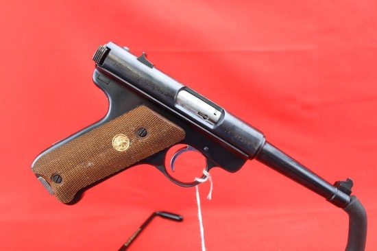 Ruger .22 Auto