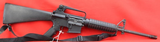 Bushmaster AR15