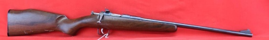 Chipmunk 22