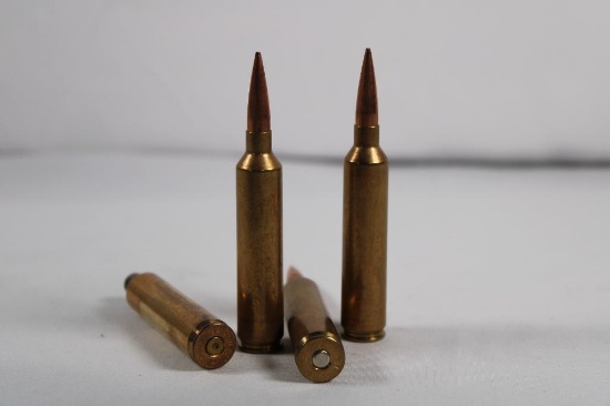Plastic box of 26 Nosler ammo reloads and brass. 22 count ammo and 18 count brass