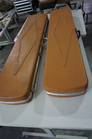 Two Gun Guard plastic rifle cases