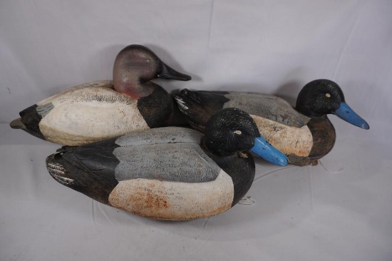Three plastic duck decoys