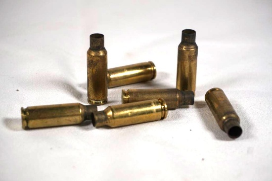 Bag of once fired 6.5 Grendel. Count 40.