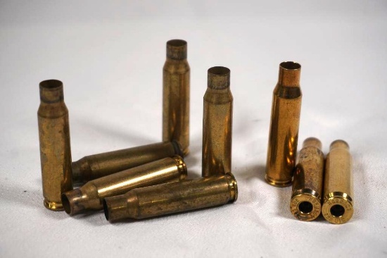Two bags of Fired Hornady 308 brass. Count 100.